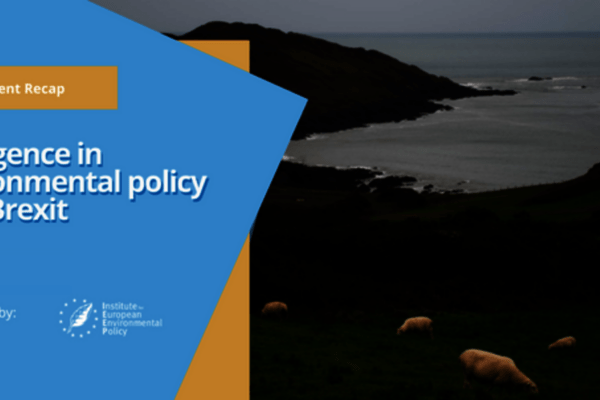IEEP UK - Event recap divergence in environmental policy post brexit