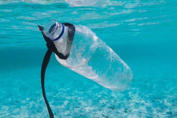 waste bottle in sea