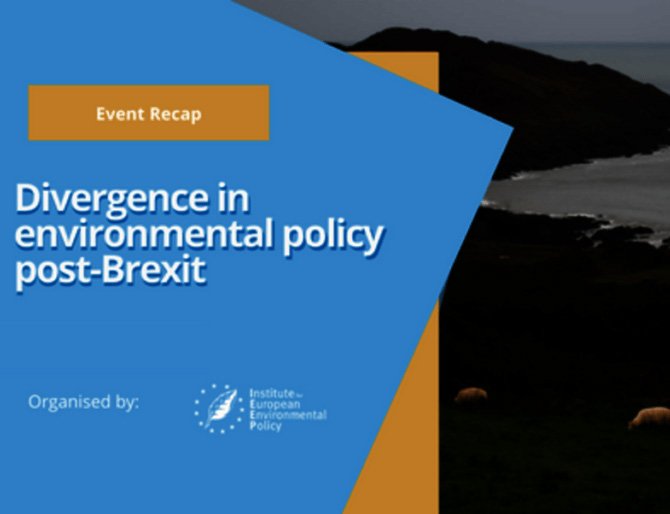 IEEP-UK-Event-recap-divergence-in-environmental-policy-post-brexit