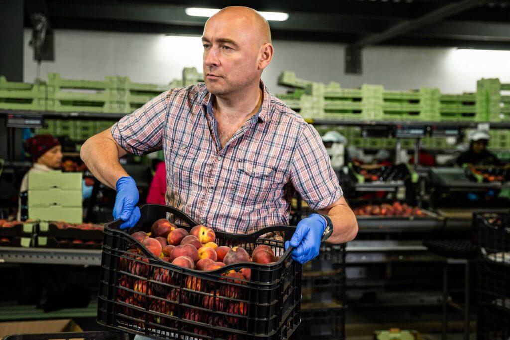 Man lifting basket of apples