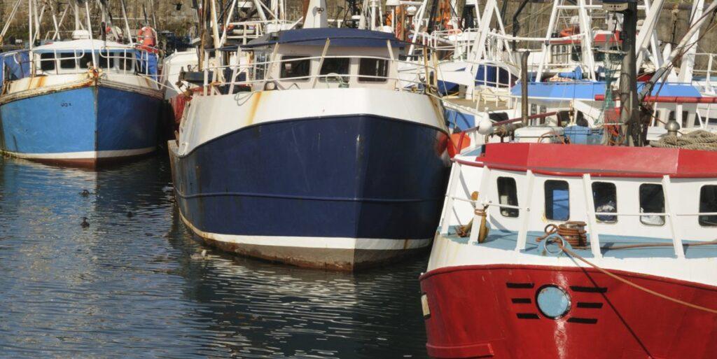 boats in harbour