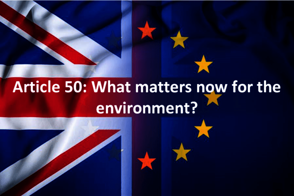 Article 50: What matters now for the environment?