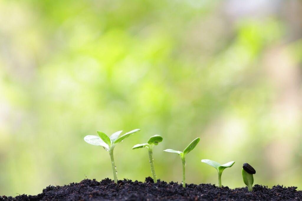 Caring for the Planet starts from the Ground – World Soils Day 2017