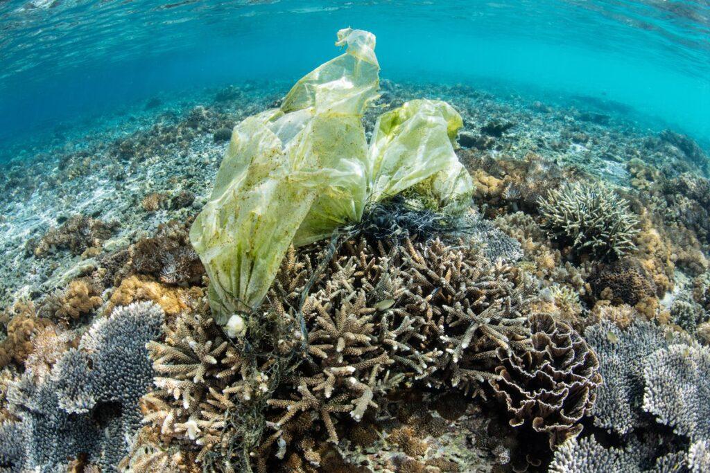 G20 adopts T20 recommendations on plastics and marine litter