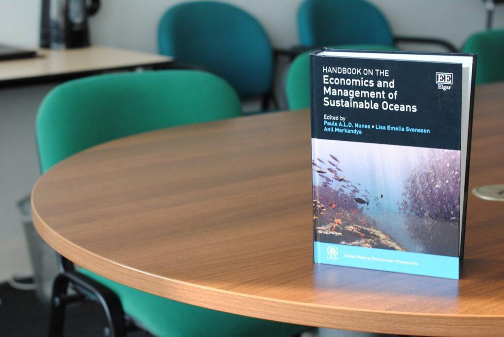 IEEP contributes to UN handbook on economics and management of sustainable oceans