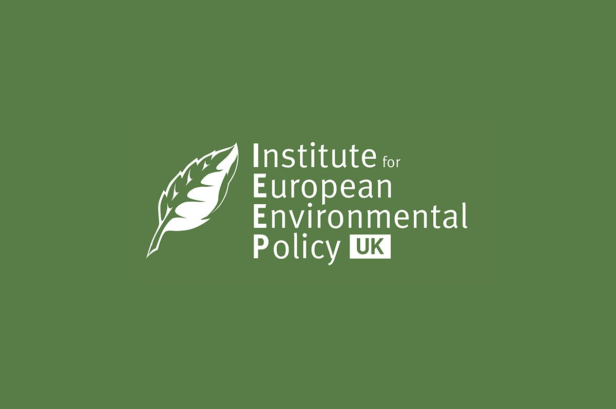 Institute for European Environmental Policy, London logo