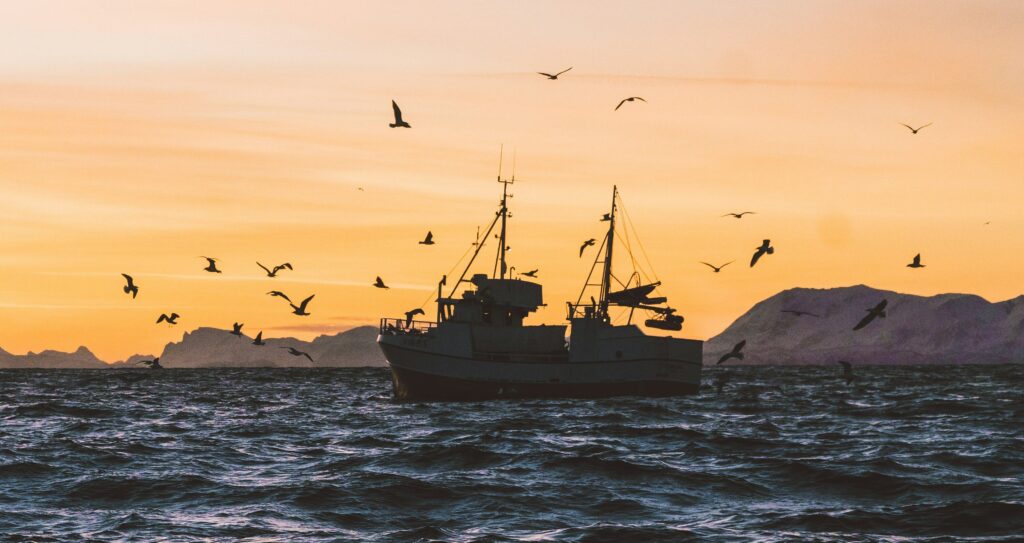Fishing - credit Knut Troim - Unsplash