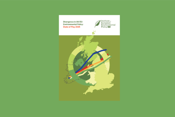 IEEP UK - Divergence in UK/EU Environmental Policy: State of Play 2025 report cover