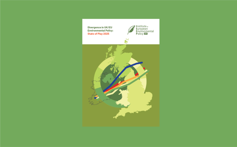 IEEP UK - Divergence in UK/EU Environmental Policy: State of Play 2025 report cover