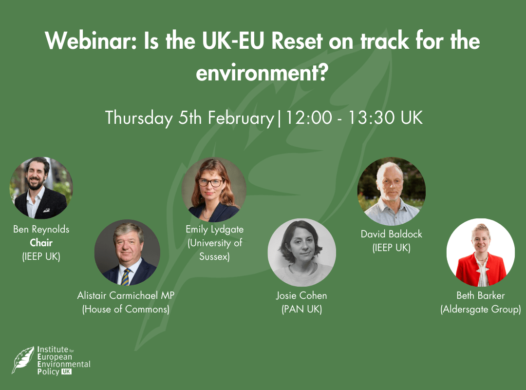 [Event Recap] Is the UK-EU Reset on track for the environment? - IEEP UK